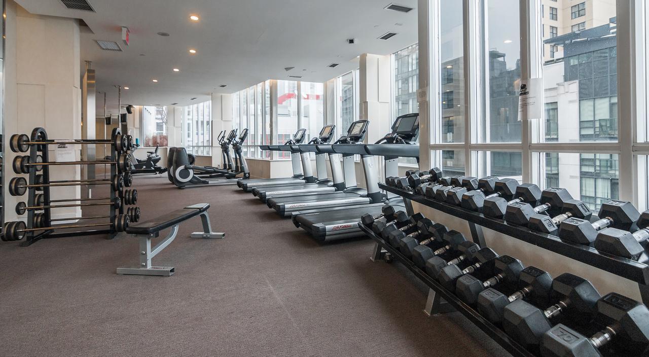Cozy Penthouse Studio Toronto Zewnętrze zdjęcie